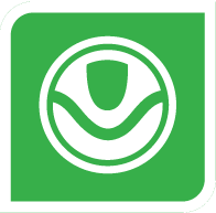  green custom-solutions-icon